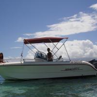 ABACO 21