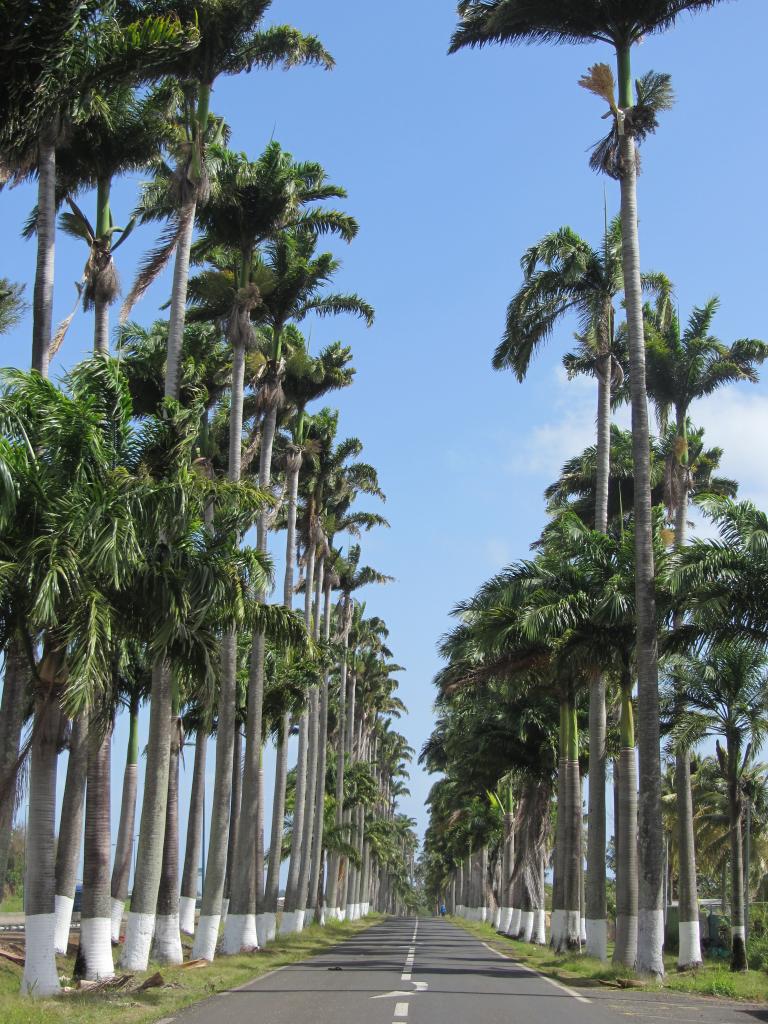 Photos de Guadeloupe