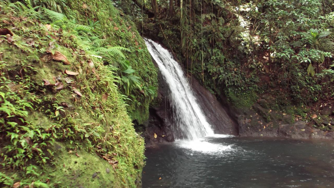 Cascade aux écrevisses