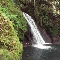 Cascade aux écrevisses
