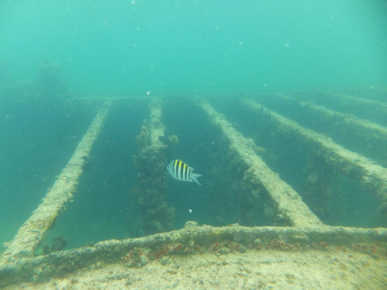epave dans l'ouest de l'Ilet Caret