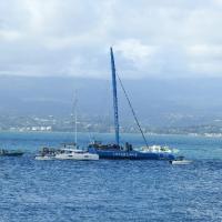 Route du rhum arrivée de gabart