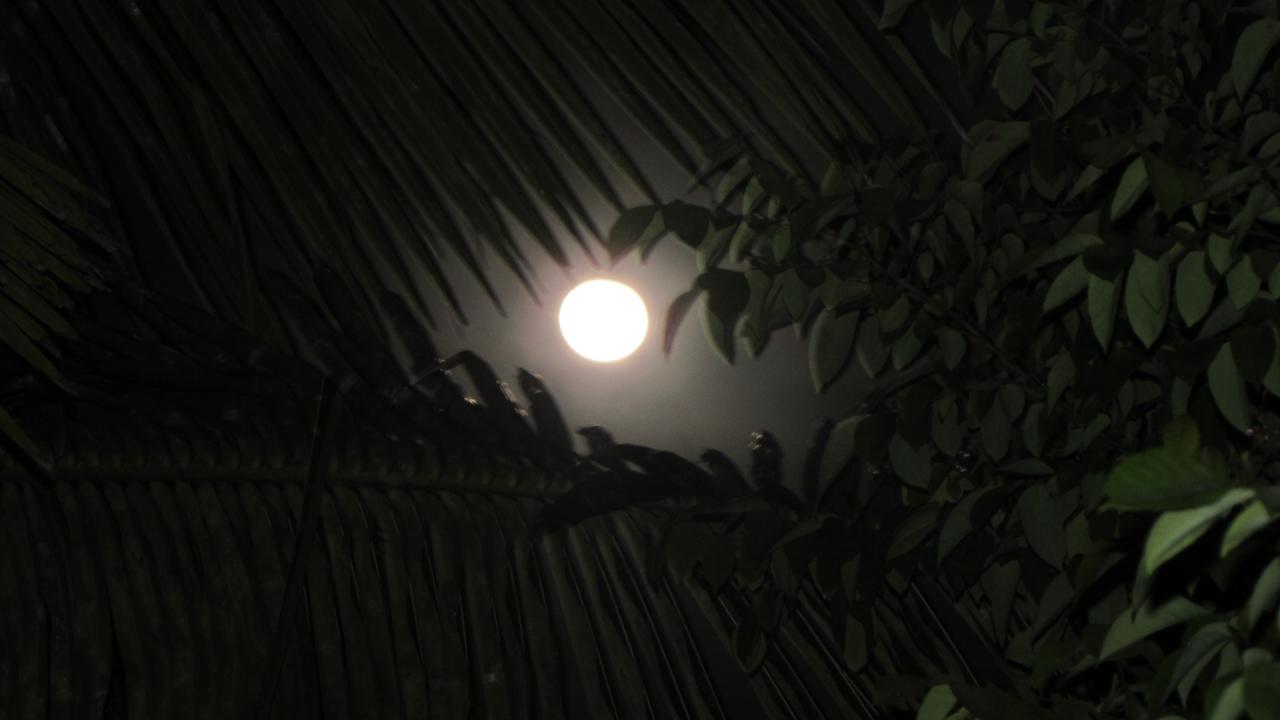 La Super lune à l'llet du Gosier