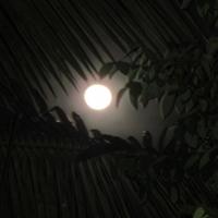 La Super lune à l'llet du Gosier