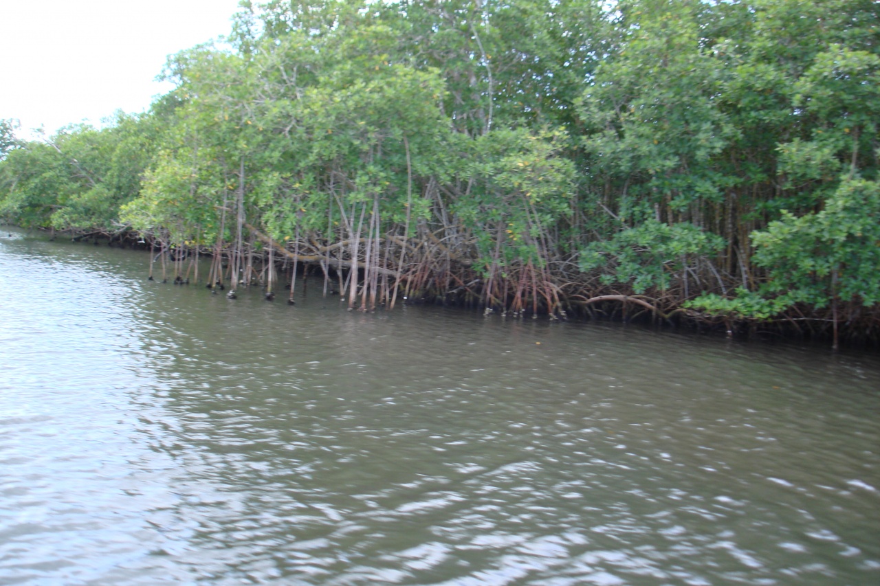 Photos de Guadeloupe