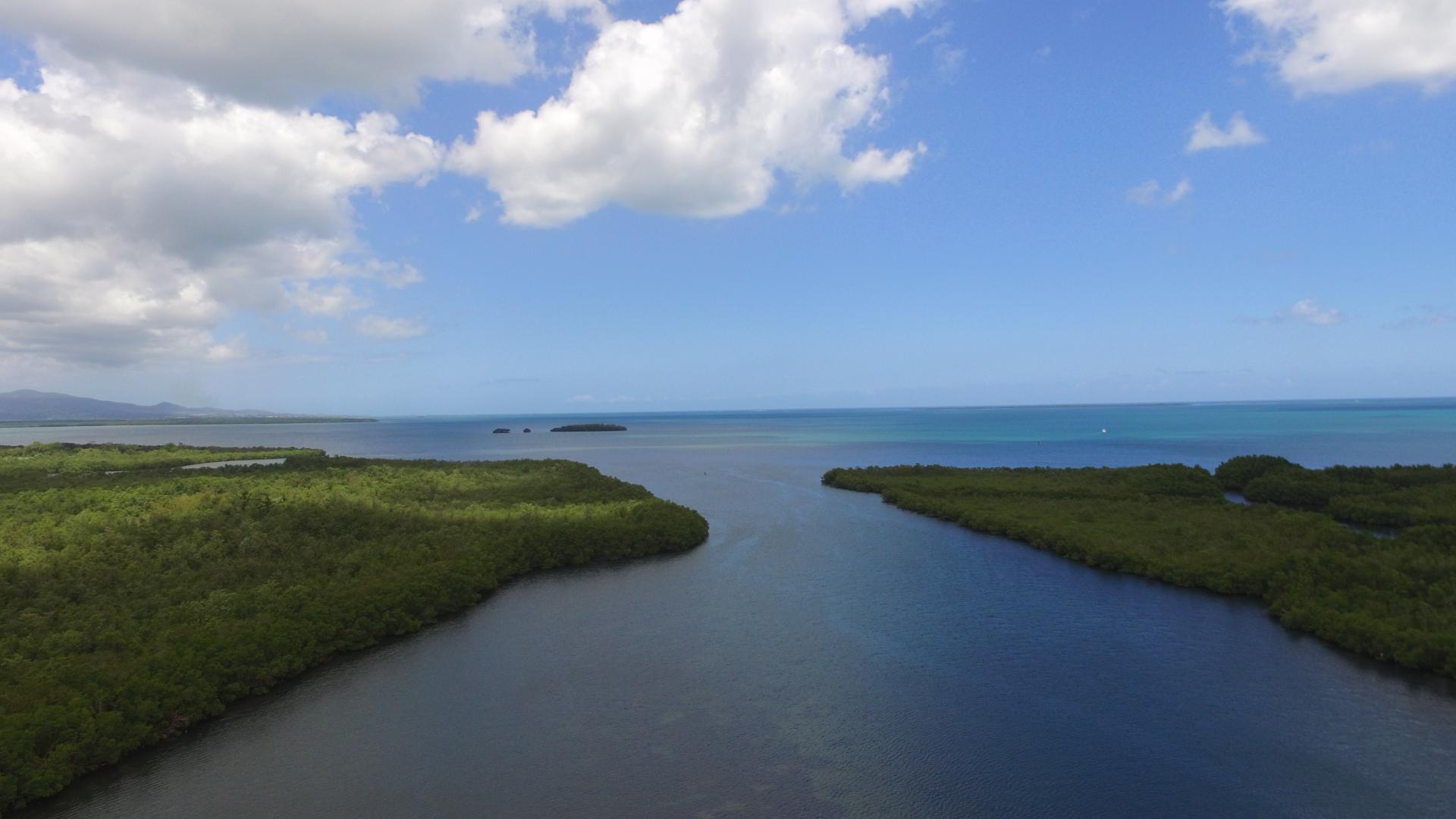 Sortie de la riviere Salée