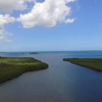 Sortie de la riviere Salée