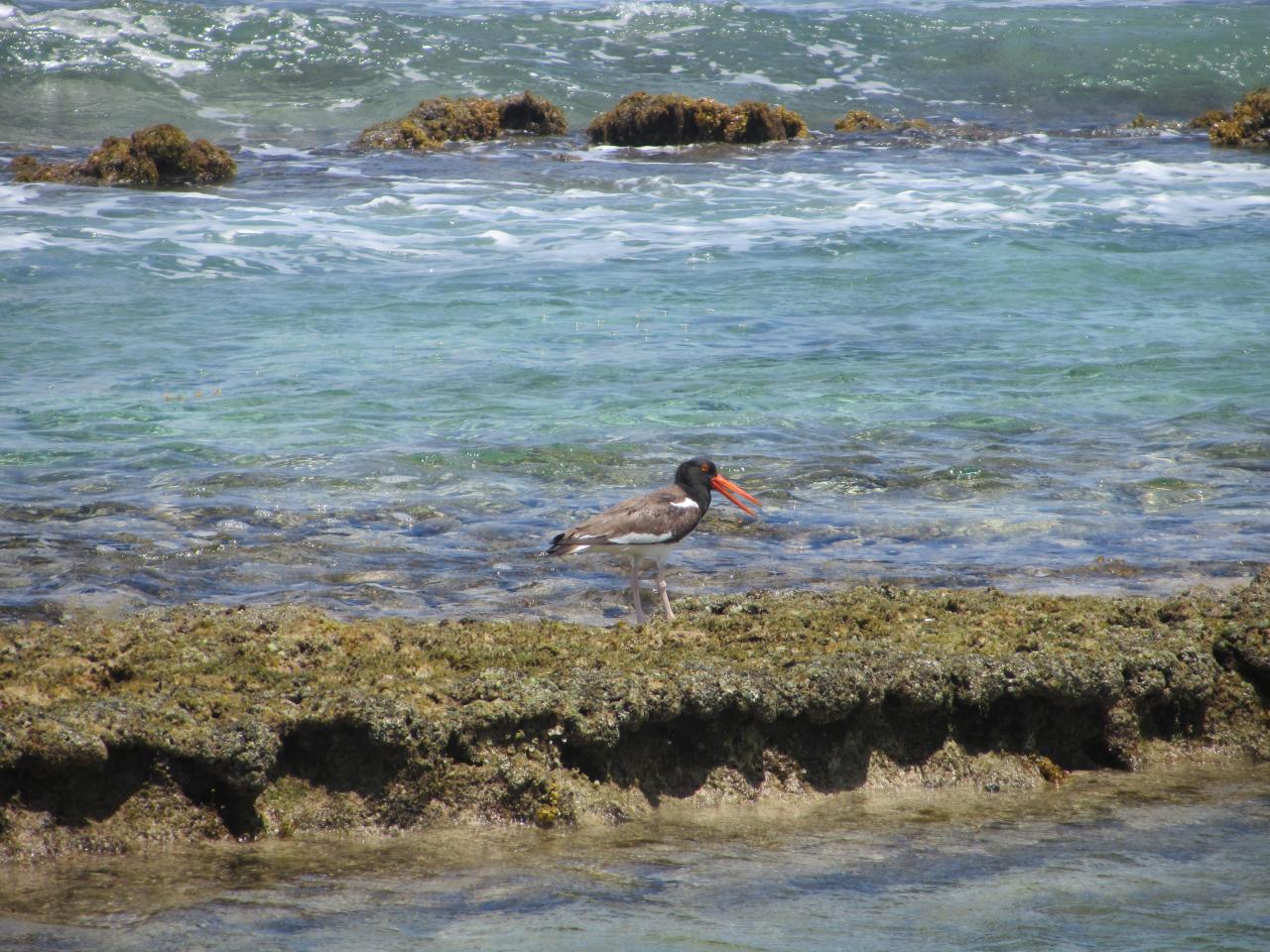 Photos de Guadeloupe