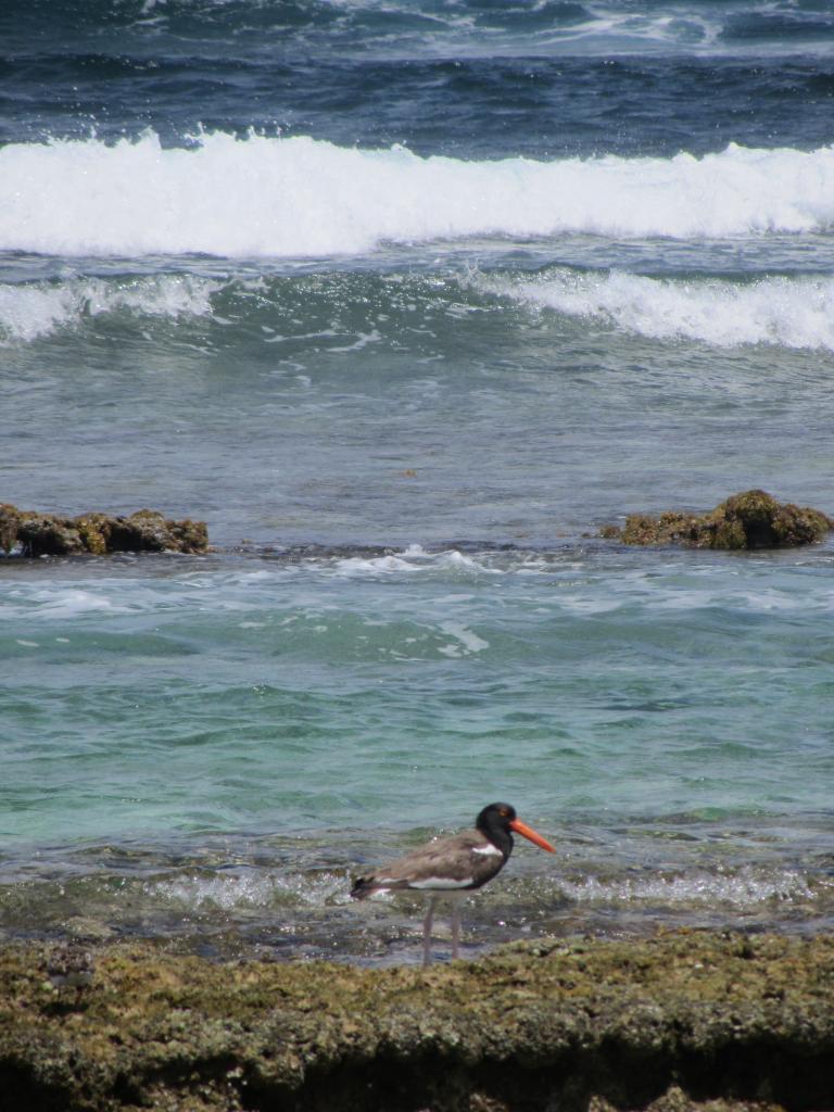 Photos de Guadeloupe
