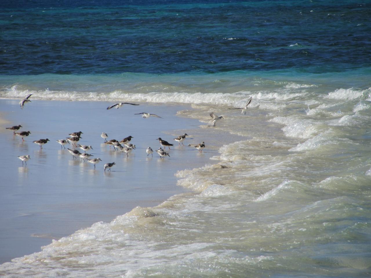 Photos de Guadeloupe