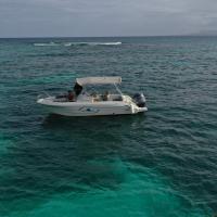 Pacific craft 1