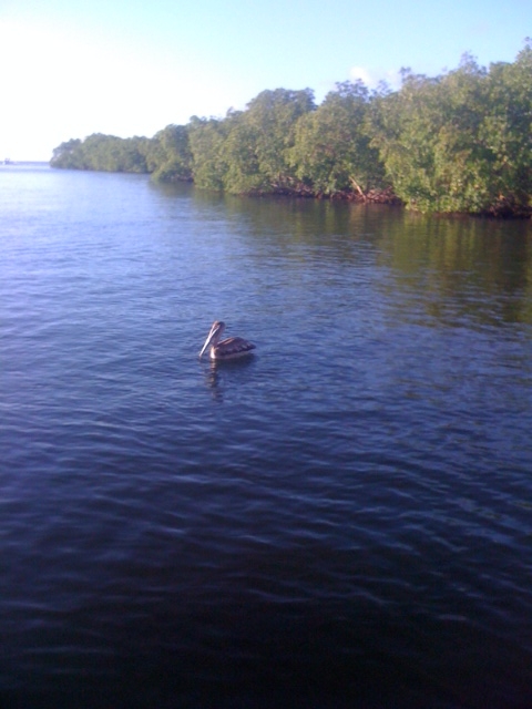 Photos de Guadeloupe