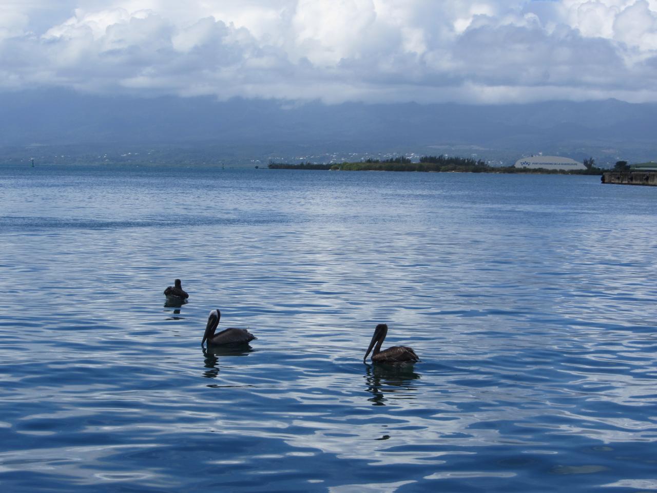 Photos de Guadeloupe