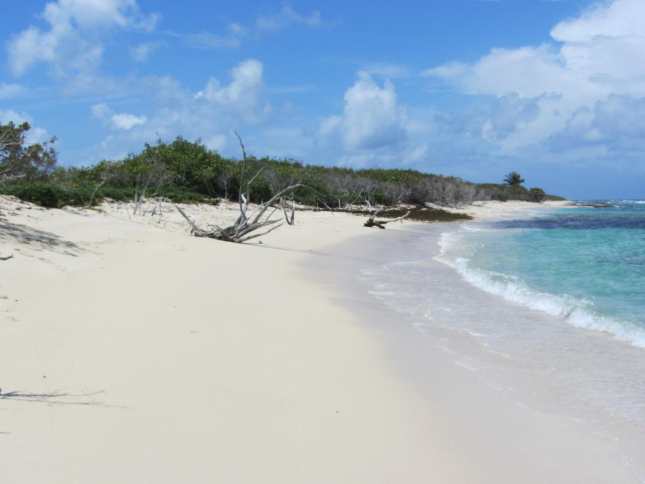 Photos de Guadeloupe