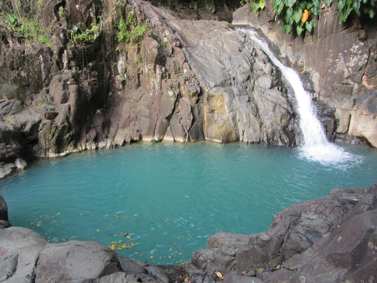 saut Acoma