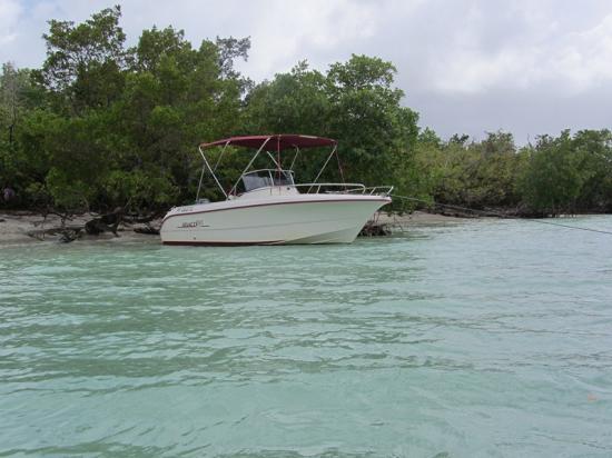 fajou-plage-et-mangrove-copier.jpg